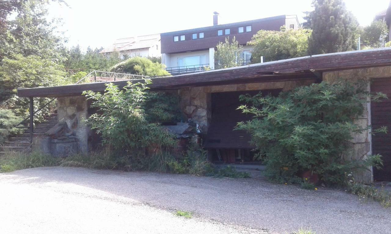Mostly Muse Eidenberg Exterior photo